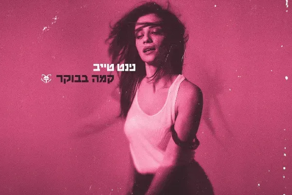 נינט טייב
