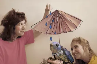 ציפורה | הצגה רגישה