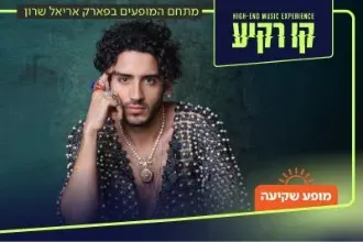 תמיר גרינברג