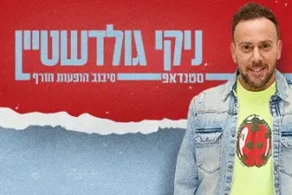 ניקי גולדשטיין