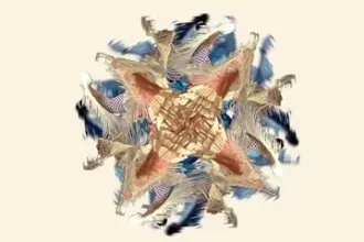 AЯBA - להקת הפלמנקו הישראלית - מופעי בכורה