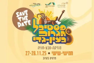 פסטיבל גרוב עין גדי