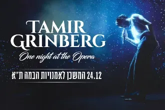 תמיר גרינברג