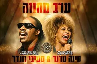 המחווה לסטיבי וונדר וטינה טרנר