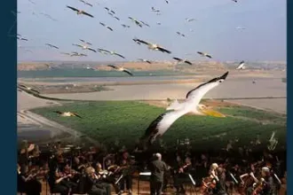 וביום השישי - סימפוניה לטבע הישראלי - קונצרט-סרט לכל המשפחה